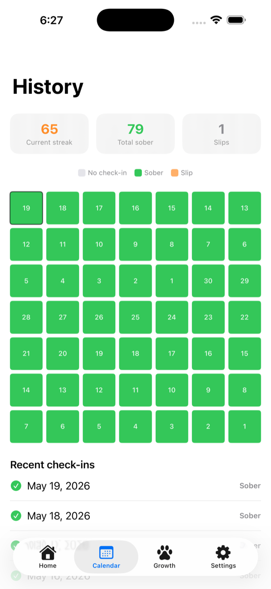 History tab with calendar heatmap of sober days, with day-of-month label in each square